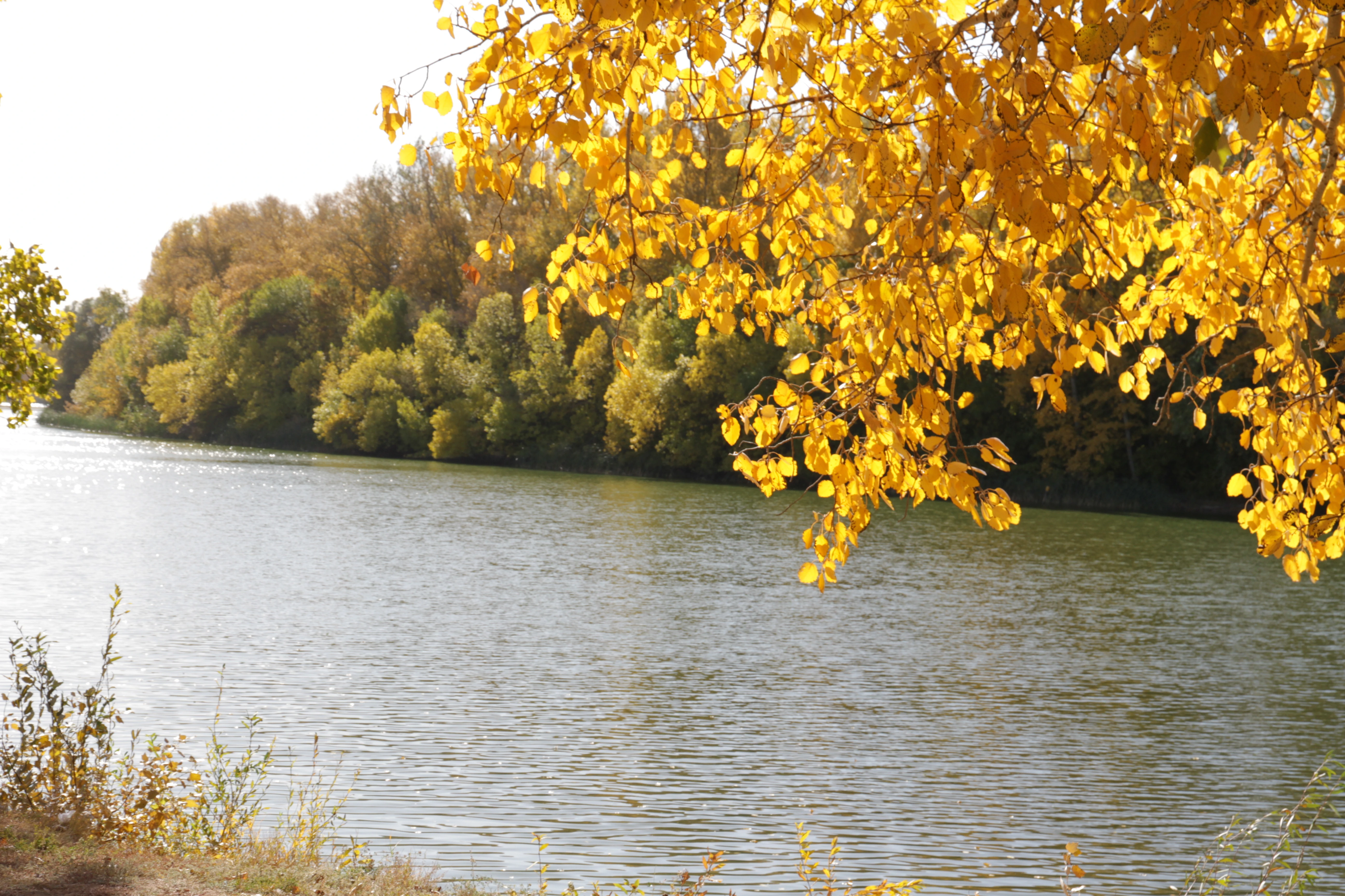 Теплая погода ожидается в ЗКО 10 ноября